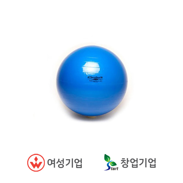 세라밴드 엑서사이즈볼 EXERCISE BALL 75cm BLUE
